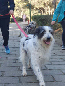 Cloe e Iris