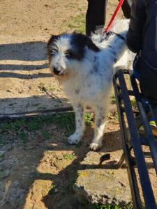 Cloe