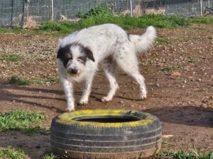 Cloe