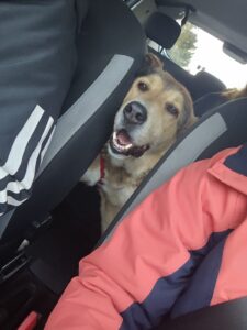 Max in macchina