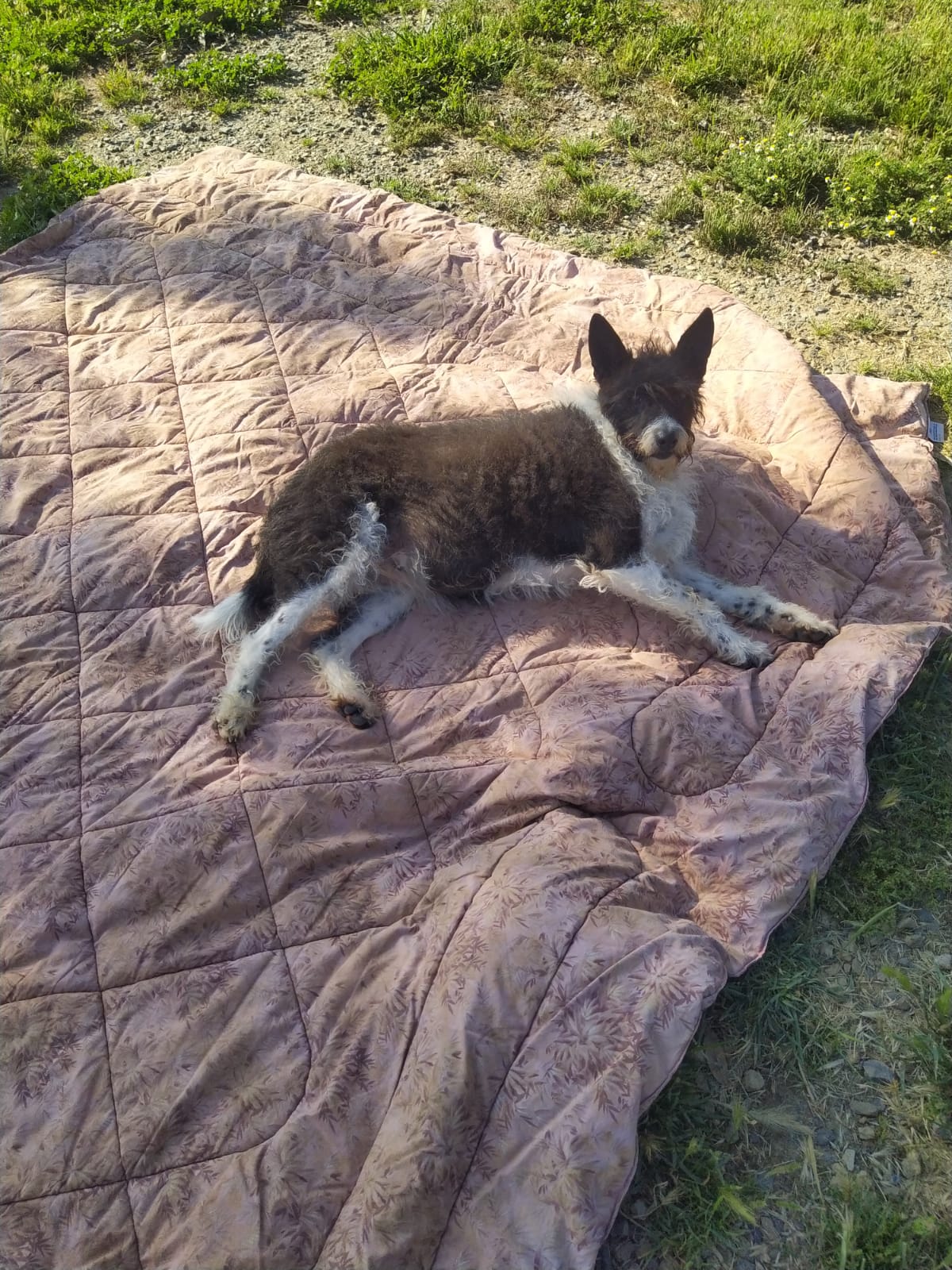 zoe al sole